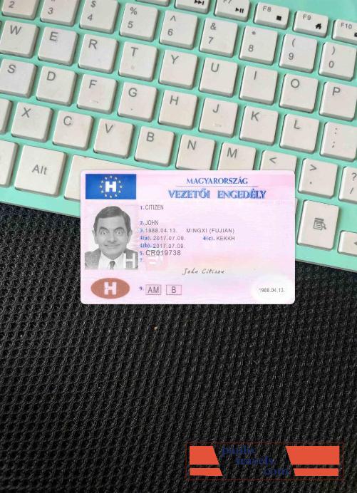 Hungary dl photolook FRONT PSD template